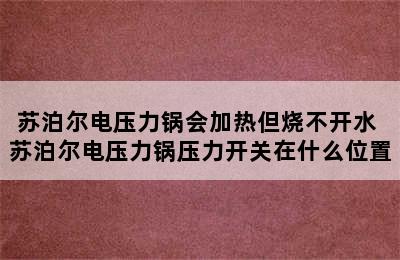 苏泊尔电压力锅会加热但烧不开水 苏泊尔电压力锅压力开关在什么位置